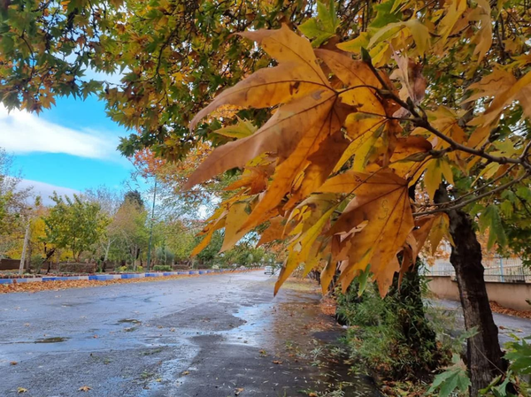 باران پاییزی