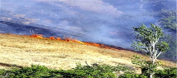 آتش سوزی در دامنه کوه آبیدر سنندج