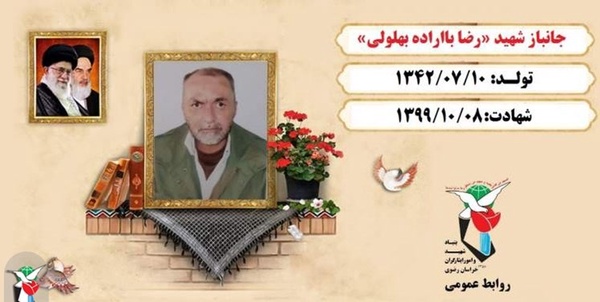 رضا بااراده بهلولی