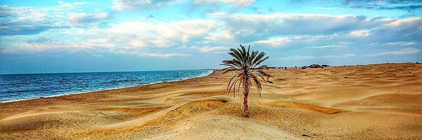 تصویر سربرگ نمایه‌ی ‌مریم سرگزی‌
