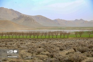 زندگیِ دوباره «دِهنو»