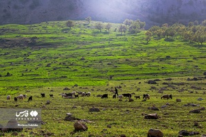 طبیعت بهاری «بازفت»