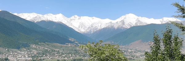 تصویر سربرگ نمایه‌ی ‌نرگس علیرضانژاد‌