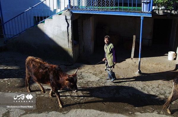 بانوان روستایی مازندران 