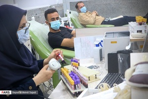 نذر خون شب ۲۳ رمضان در بوشهر