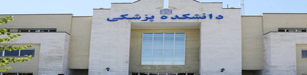 دانشگاه