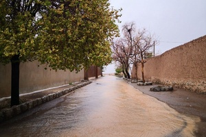 هواشناسی