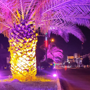 تصویر نمایه‌ی ‌حسن اشرفی‌