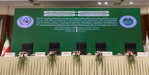 سیاسی