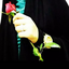 تصویر نمایه‌ی ‌هانیه ناظری‌