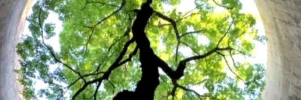 تصویر سربرگ نمایه‌ی ‌9**1470‌