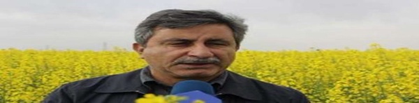علیرضا مهاجر