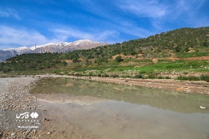 طبیعت بهاری «بازفت»