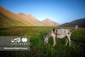 طبیعت «دشت لار»