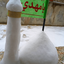 تصویر نمایه‌ی ‌فرشته نقدی‌