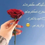 تصویر نمایه‌ی ‌محسن صالح‌