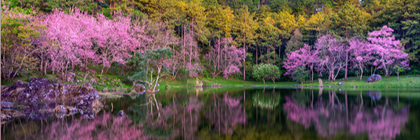 تصویر سربرگ نمایه‌ی ‌مریم امیری‌