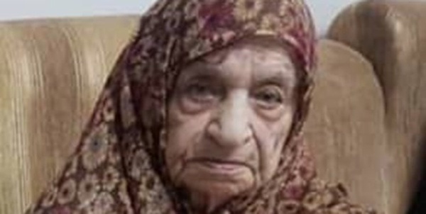 پروانه بیابانی 