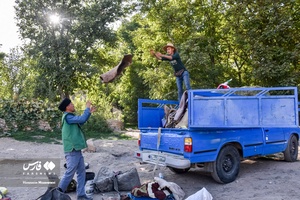 کاروان اسب‌داران حرم‌ تا حرم خراسان‌شمالی به سوی آستان رضوی رهسپار شدند