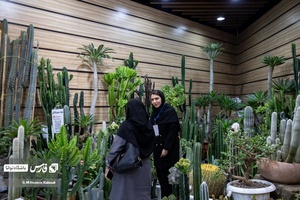 یکی از فروشگاه های اینترنتی  گل وگیاه و کاکتوس در نمایشگاه