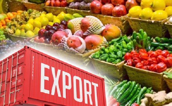 صادرات مواد غذایی