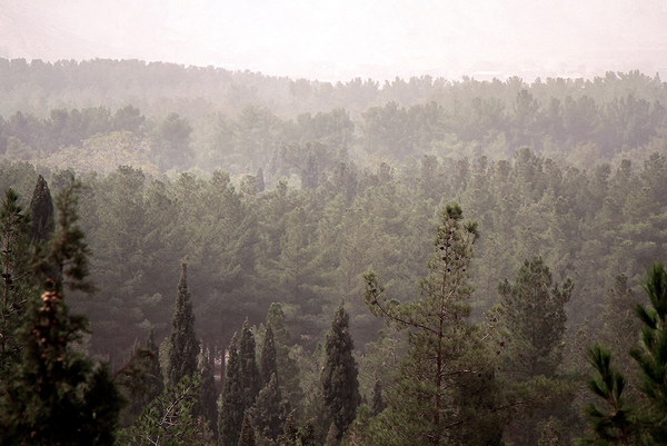 گرد و غبار شدید در کرمان