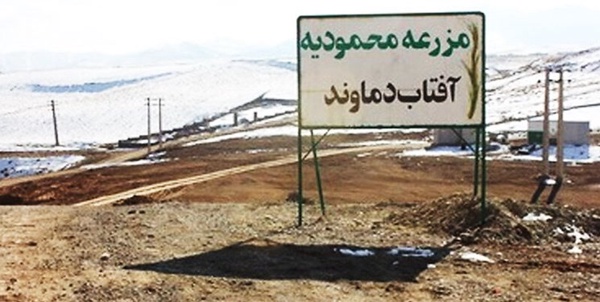 مزرعه محمودیه