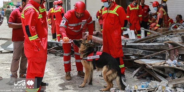 سگ های زنده یاب