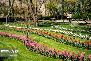 باغ گل‌های لاله چمران از جاذبه‌های شگفت‌انگیز در فصل بهار است که معمولا از فروردین هرسال آغاز و تا نیمه‌های اردیبهشت ادامه دارد.