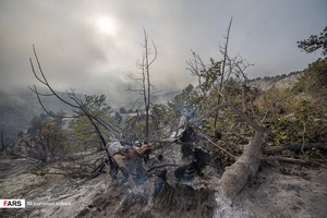 آتش به جان جنگل های بکر جهان نما افتاد