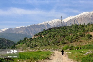 طبیعت بهاری «بازفت»