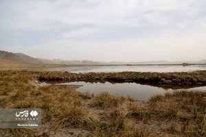 زندگیِ دوباره «دِهنو»
