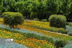 اردیبهشت در باغ گل های شیراز