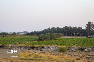 روستای زیارت سید سلیمان(ع) از توابع شهر تخت