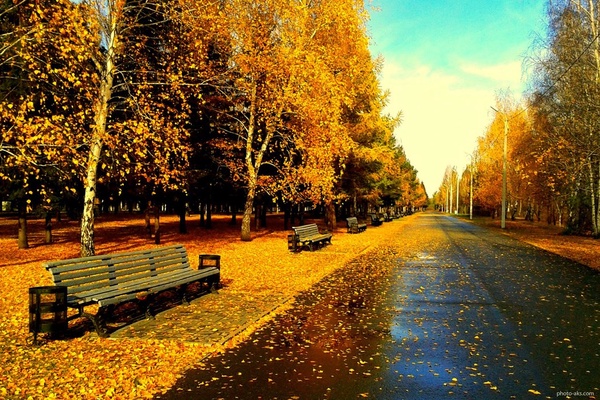 هواشناسی