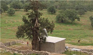 گچساران
