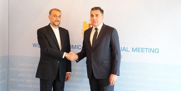 امیرعبداللهیان و وزیر خارجه گرجستان