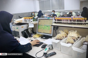 نذر خون شب ۲۳ رمضان در بوشهر