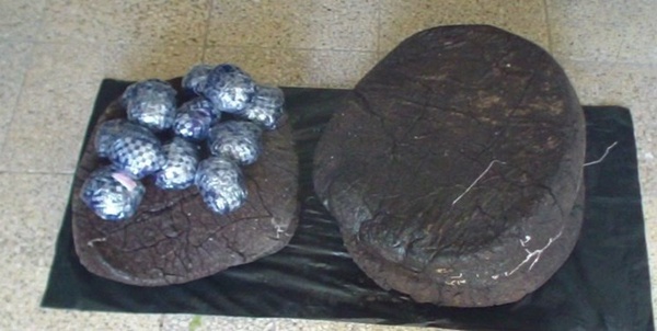 کشف ۱۹ کیلو تریاک از چمدان مسافر