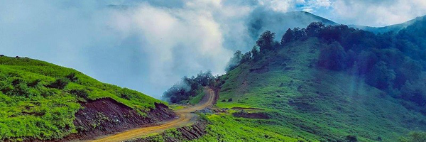 تصویر سربرگ نمایه‌ی ‌سلمان جعفری‌