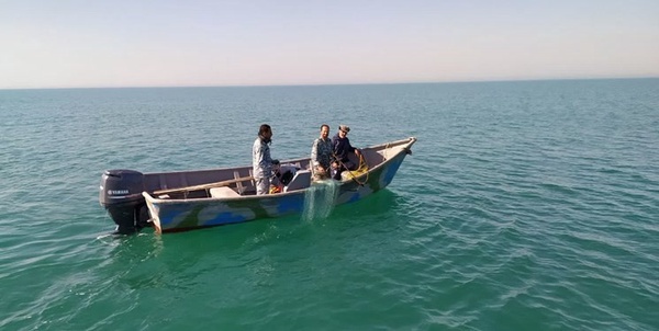 صید/ صیادی/ صیدغیرمجاز