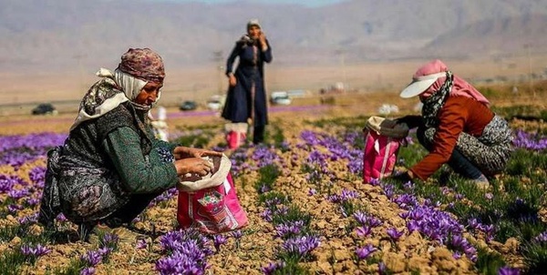 زنان روستایی
