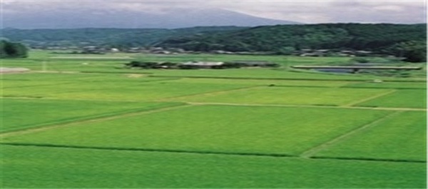 کشاورزی