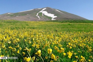 دامنه کوه سهند