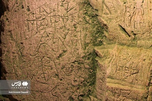سنگواره هایی با قدمت ۲۷۰ تا ۵۷۰ میلیون سال