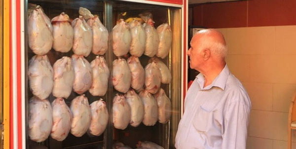 مرغ