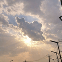 تصویر نمایه‌ی ‌مجید‌