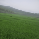 تصویر نمایه‌ی ‌سیدعلی نواب کاشانی‌