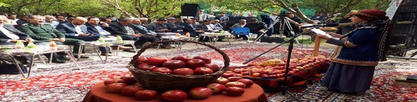 جشنواره سیب 