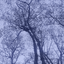 تصویر نمایه‌ی ‌Meraj Heidary‌